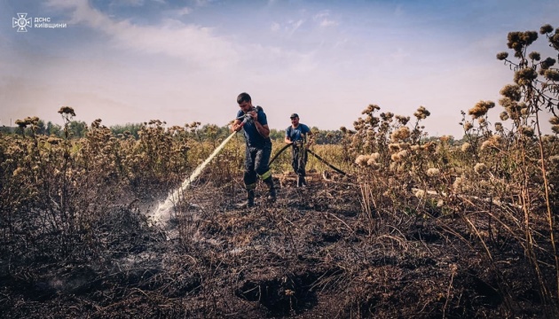 У Києві погіршилась якість повітря - горять торфовища в області