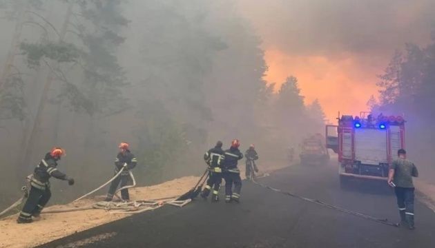 На Кіровоградщині ліквідували лісову пожежу, що тривала кілька днів