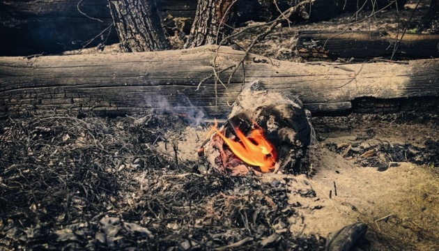 Dead wood burns in temporarily occupied Luhansk region: Russians block road