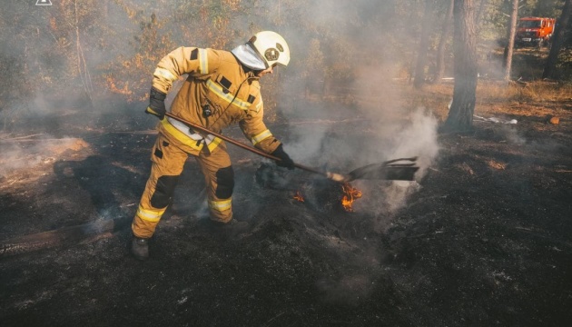 Grass burning in three districts of Kyiv - SES