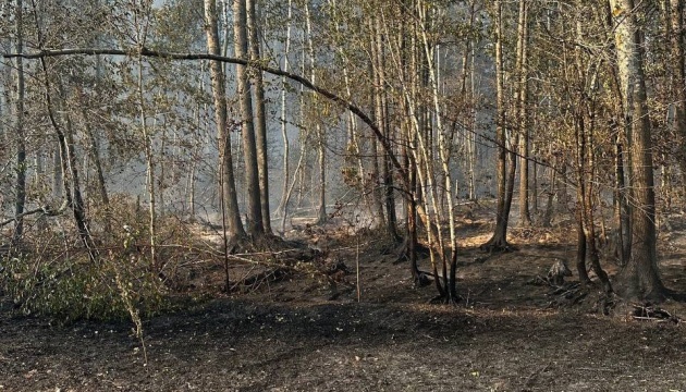 Площа займань у Чорнобильській зоні перевищила 2600 гектарів - Міндовкілля