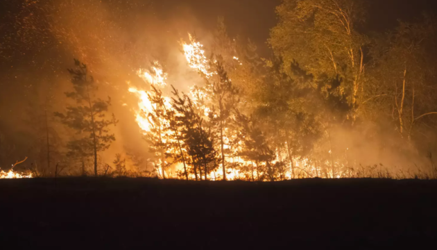 In Region Donezk tobt durch russischen Beschuss den zweiten Tag großer Waldbrand