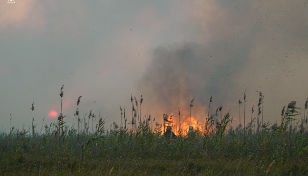 На Полтавщині лісова пожежа дісталася ще двох сіл