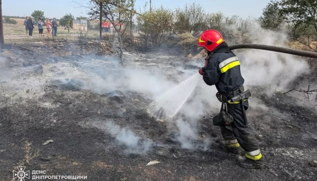 На Дніпропетровщині вогонь знищив понад 280 гектарів екосистем