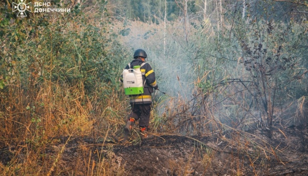 У Лиманському районі Донеччини четверту добу гасять лісову пожежу