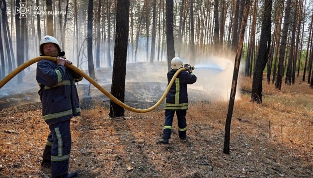 На Харківщині рятувальники з трьох областей гасять масштабну лісову пожежу