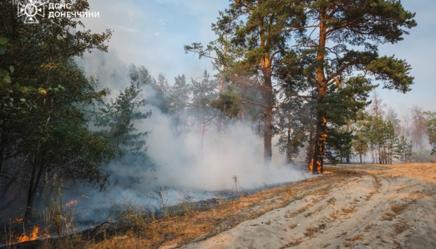 У Лиманському лісництві загасили пожежу, що тривала дев’ять днів