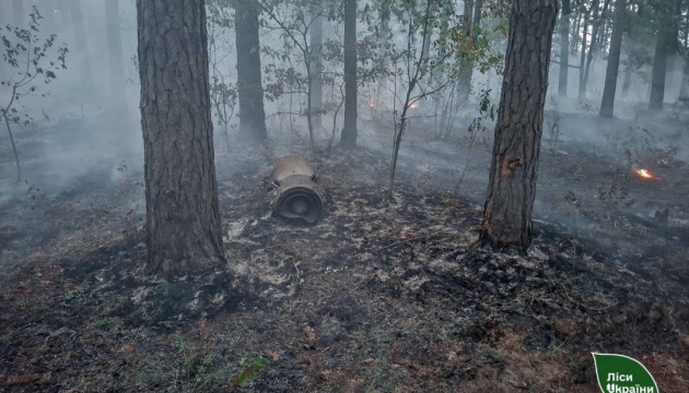 На Київщині гасять лісові пожежі після нічного ракетного обстрілу