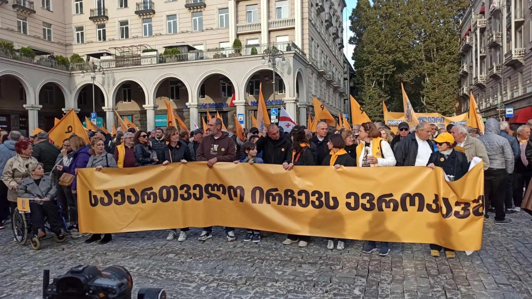 Напис на плакаті - Грузія обирає вступ до Євросоюзу