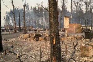 На Харківщині гасять масштабну пожежу у ландшафтному парку