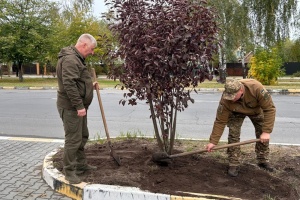 У Гостомелі висадили дерева на честь полеглих захисників міста