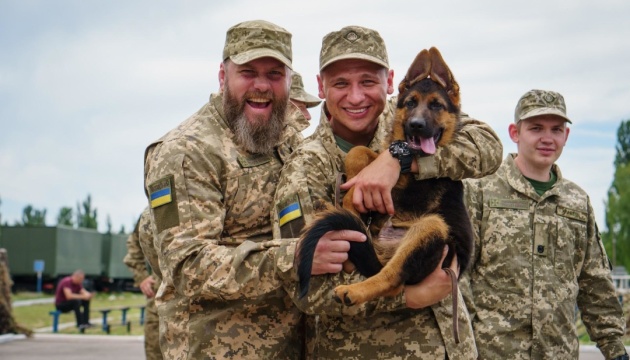 На телебаченні вийшов перший український серіал про захисників кордону