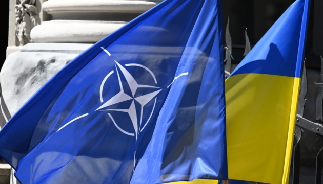 Sieben NATO-Staaten bremsen Einladung der Ukraine ins Bündnis - Politico