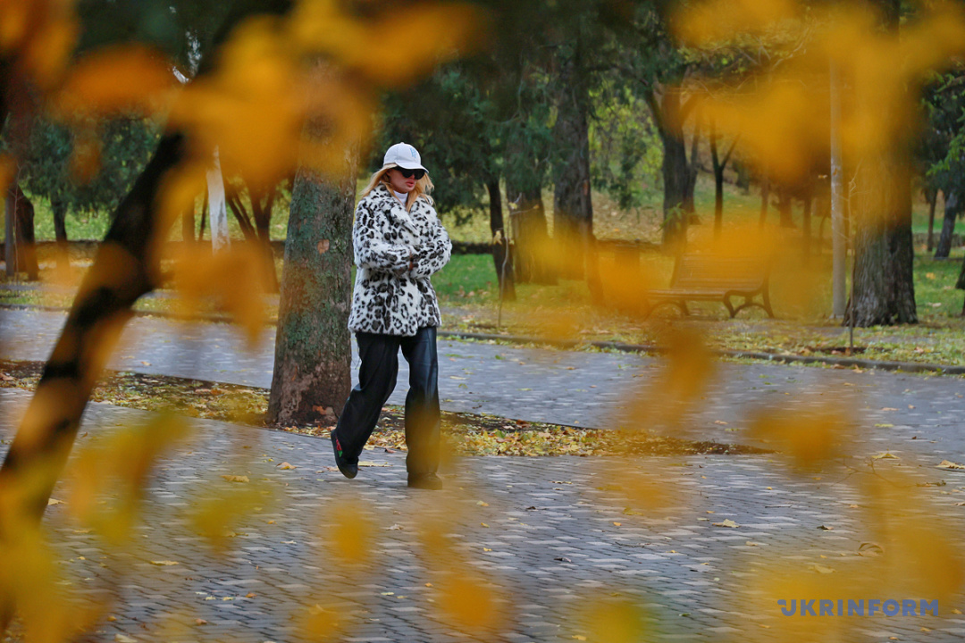 Фото: Ніна Ляшонок