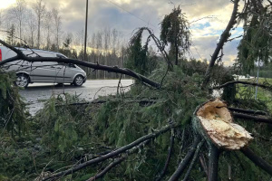 У Фінляндії вперше зафіксували ураган, без електрики залишилися тисячі будинків