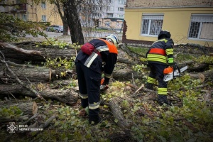 У Чернігівській та Запорізькій областях сильний вітер повалив десятки дерев