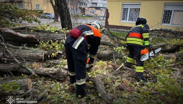 У Чернігівській та Запорізькій областях сильний вітер повалив десятки дерев