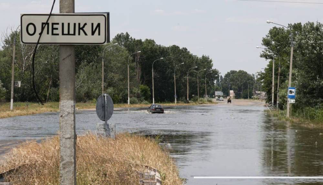 Росіяни не організували евакуацію з окупованих Олешок, люди їдуть самі і ризикують життям - МВА