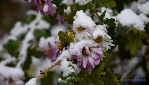 Рятувальники попереджають про заморозки до -5° у п'ятницю та суботу вночі