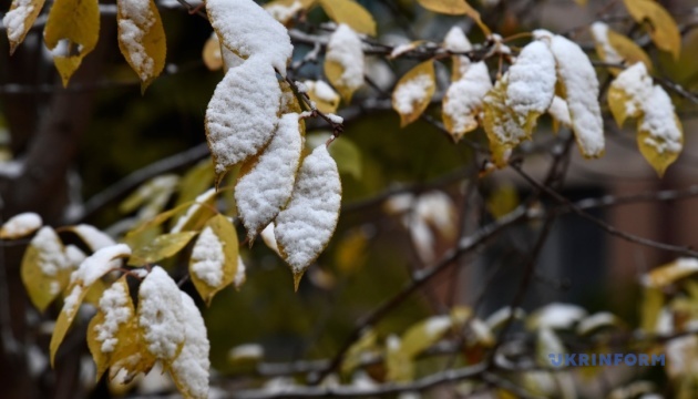 Україні у п'ятницю прогнозують до 12° тепла, подекуди дощ і мокрий сніг