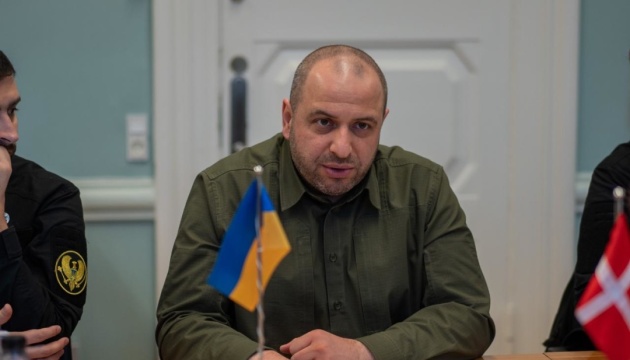 Umerov, Danish MPs discuss strengthening cooperation under Ukraine's Victory Plan