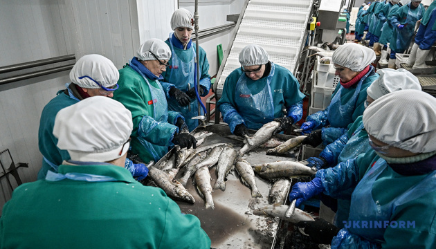 Виробничий комплекс з переробки морепродуктів у Запоріжжі / Фото: Дмитро Смольєнко. Укрінформ 