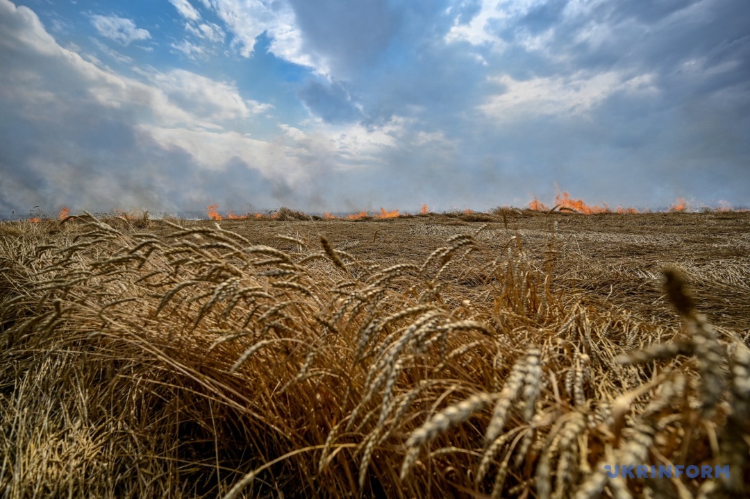 На Запоріжжі ворог знищує поля з врожаєм. Фото: Дмитро Смольєнко, Укрінформ