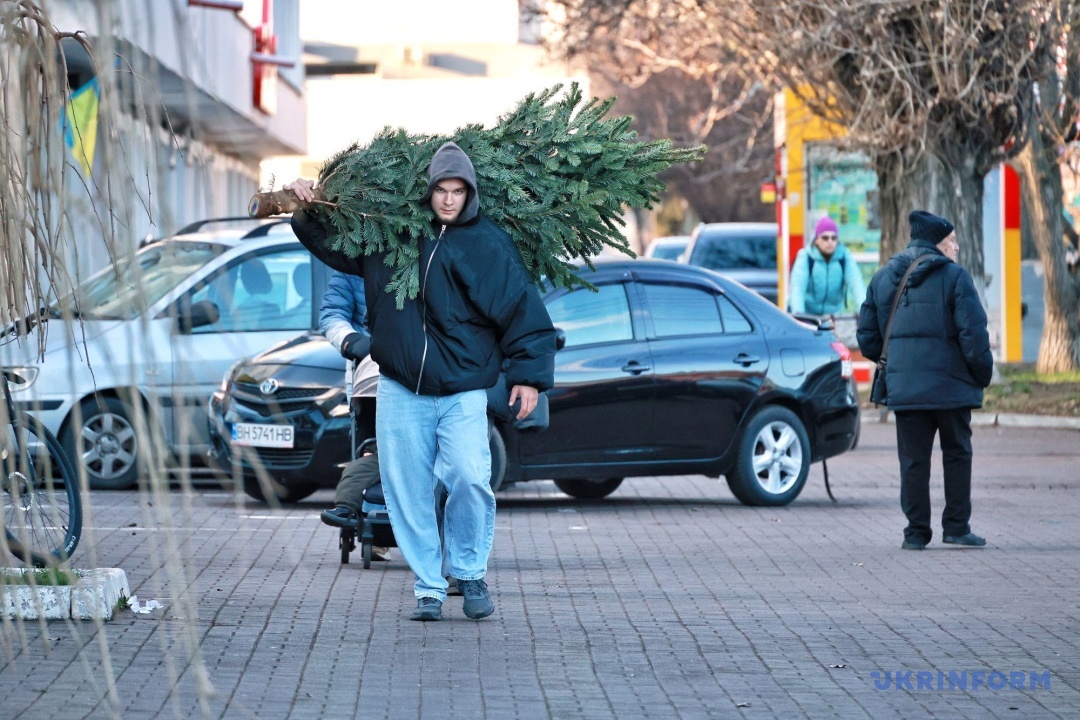 Фото: Ніна Ляшонок