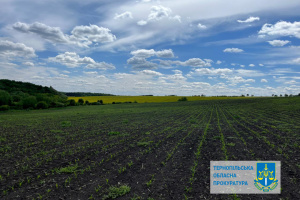 На Тернопільщині землі, на яких розташована пам'ятка археології, повернули державі 