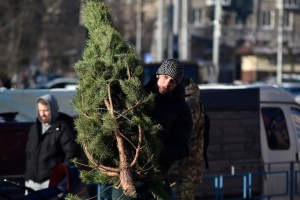 У Києві працює 95 ялинкових ярмарків