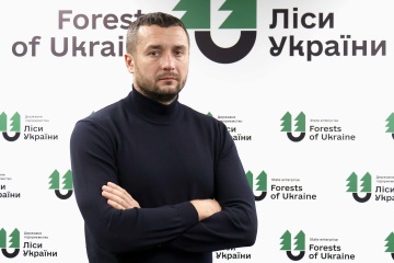 ‘Firewood law’ does not differentiate between household storage and illegal timber for commercial use - Bolokhovets