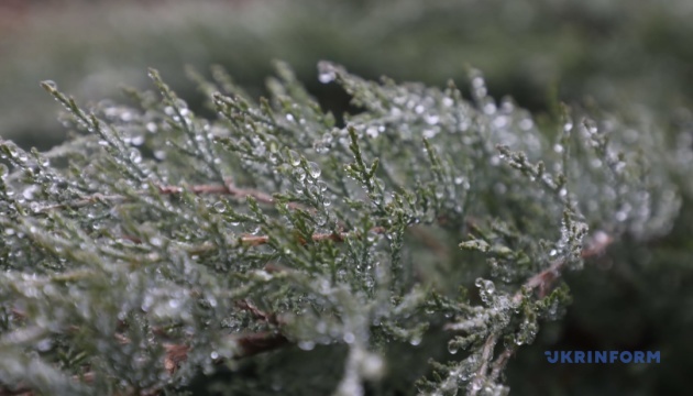 У Чернігові нічні заморозки побили температурний рекорд, який тримався 60 років