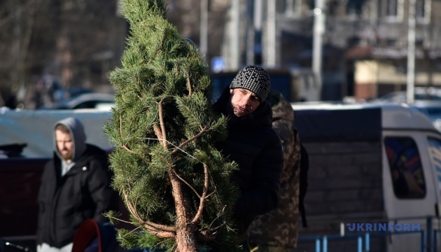 У Києві працює 95 ялинкових ярмарків