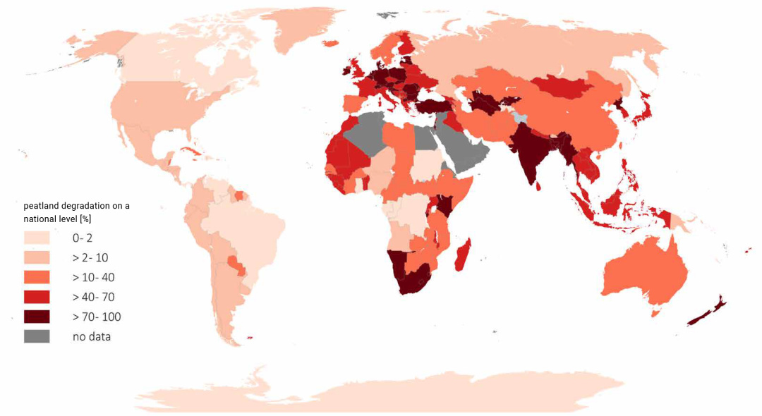  Глобальний розподіл деградації торфовищ на національному рівні [