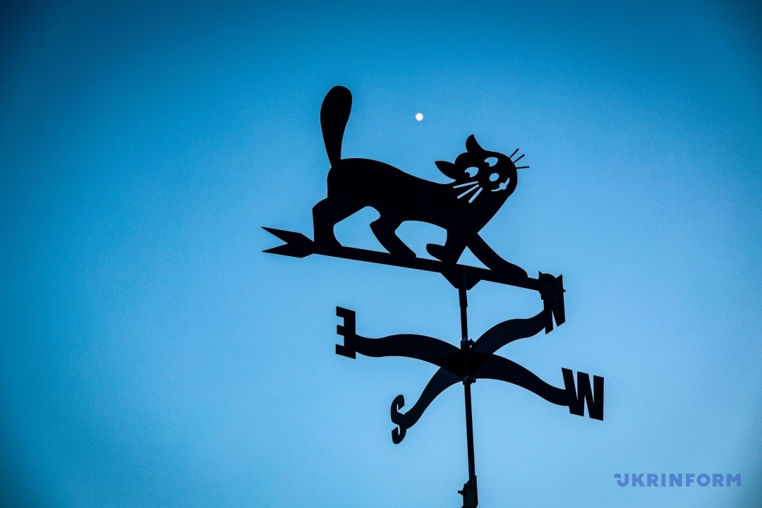 Фото: Ніна Ляшонок