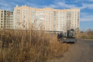 Витік олії у Південний Буг: залишилося очистити 80 квадратних метрів акваторії