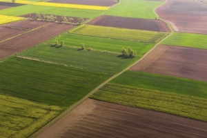 Після скасування мораторію на відчуження сільгоспземель продали лише 3,4% ділянок - Мінагрополітики