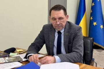 Tochytskyi, Hungarian minister discuss strengthening cultural ties between two countries 