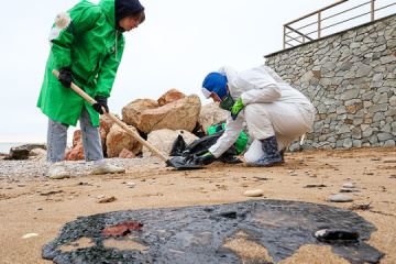 Over 590 tonnes of soil contaminated with fuel oil removed in Sevastopol