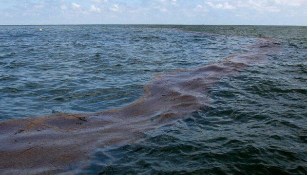 Costas contaminadas, aves y delfines muertos: Ucrania evalúa los daños causados por el fueloil ruso en el Mar Negro