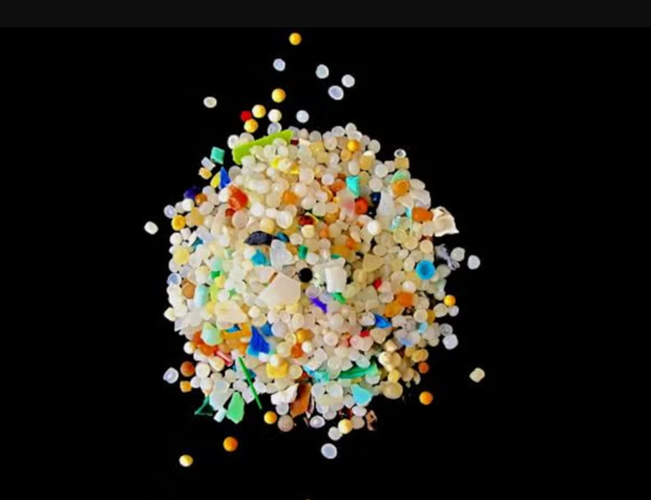 Фото: Current Biology