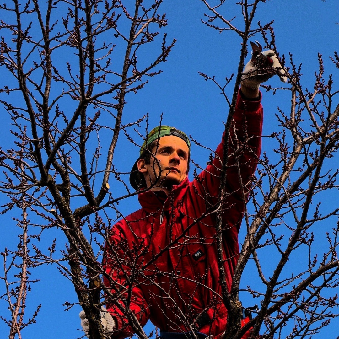 Володимир Ветроградський