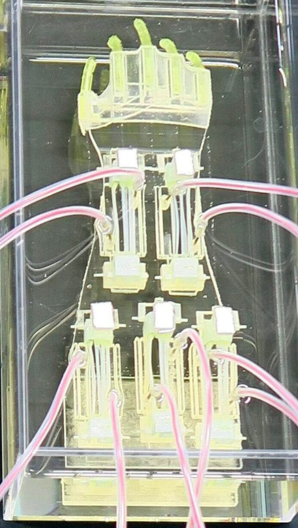 У Японії розробили найбільшу в світі біогібридну роботизовану руку