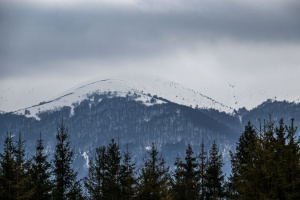 Податкові надходження від туристичної галузі торік зросли на 50% - ДАРТ