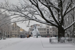 В Україні цього тижня найхолодніше буде на півночі - до 24° морозу