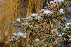 В Україну йде потепління - де очікувати «плюс»