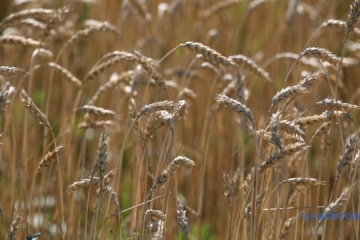 Ucrania se une oficialmente al sistema internacional ePhyto