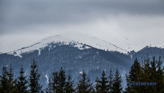 Податкові надходження від туристичної галузі торік зросли на 50% - ДАРТ