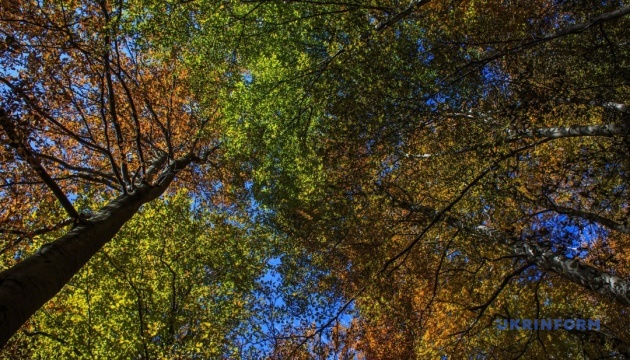 Синоптики розповіли, якої погоди чекати у вересні