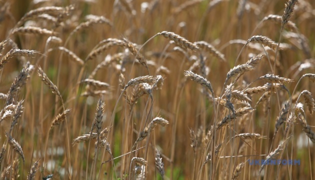 Ucrania se une oficialmente al sistema internacional ePhyto